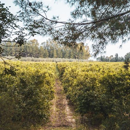 Borgo Valle Rita Taranto Eksteriør billede